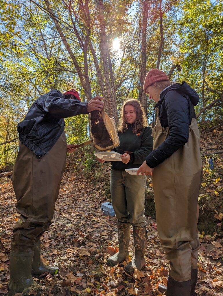 collecting aquatic insects
