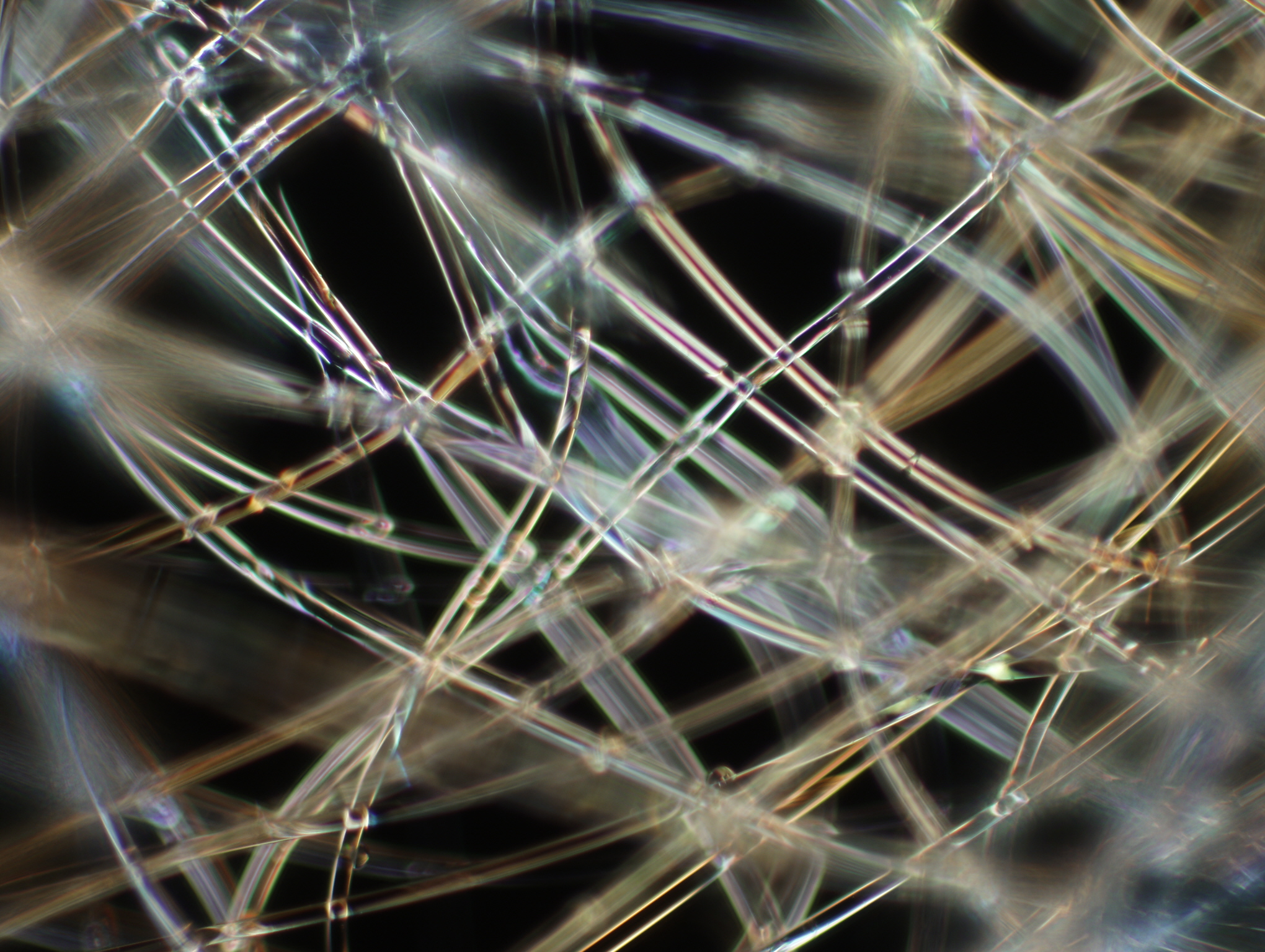 microscopic image of polypropylene face masks