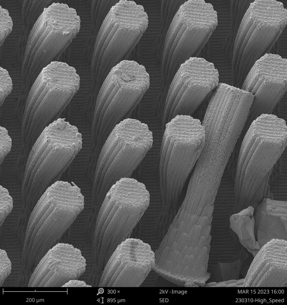 3D-printed micropillars