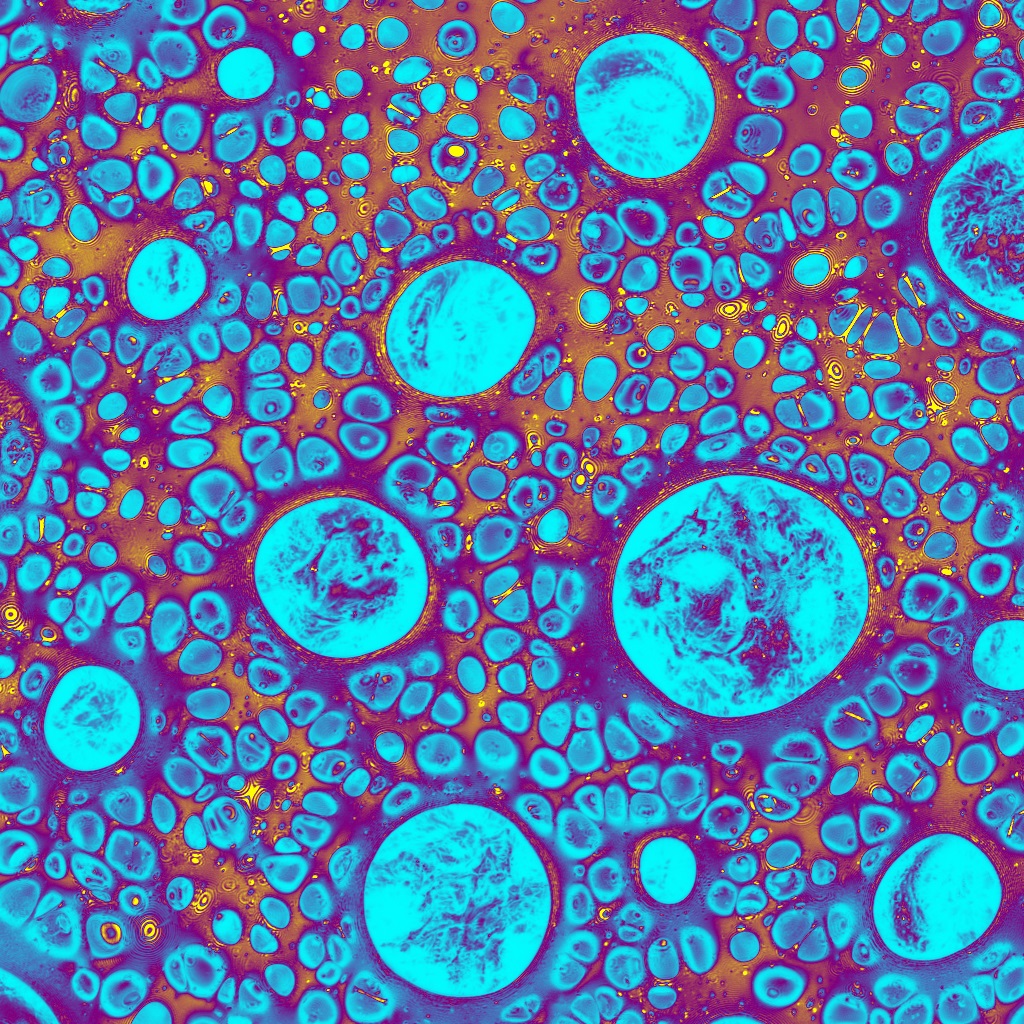 macro-phase separation of three components after solvent casting