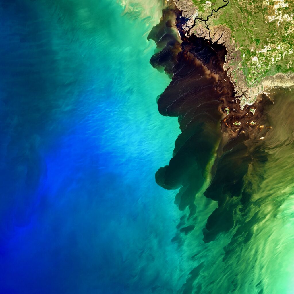 oyster reefs in Suwannee River Estuary