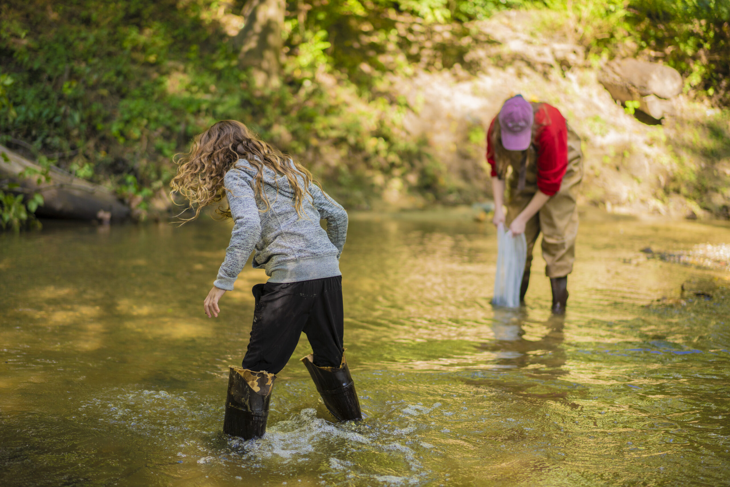 Green Mill Run, a North Carolina river bed