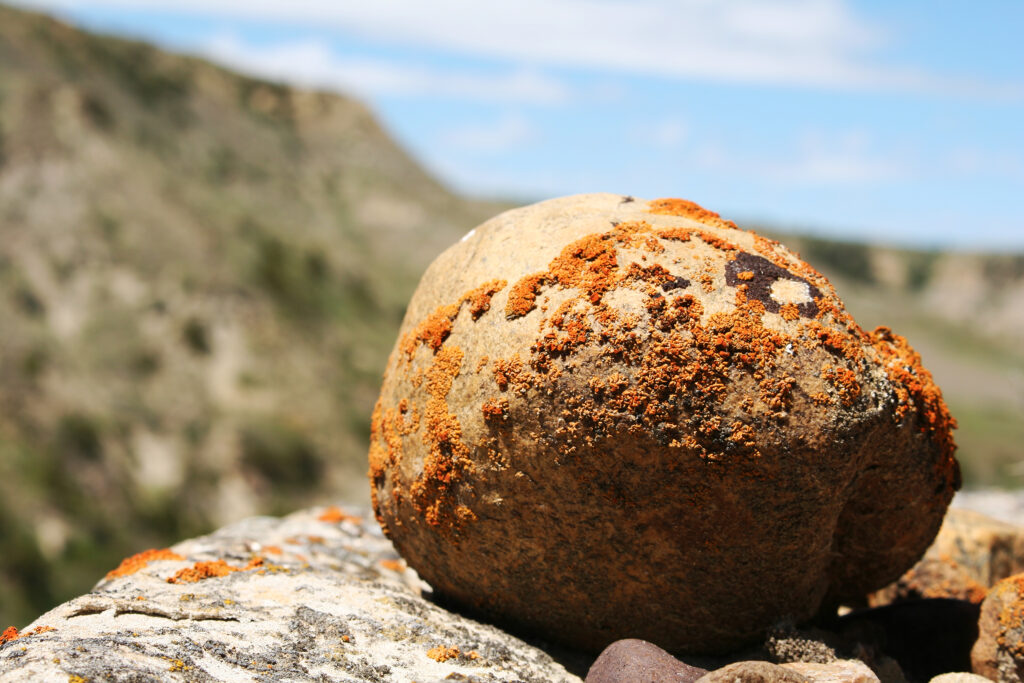 round rock from from glacier movement